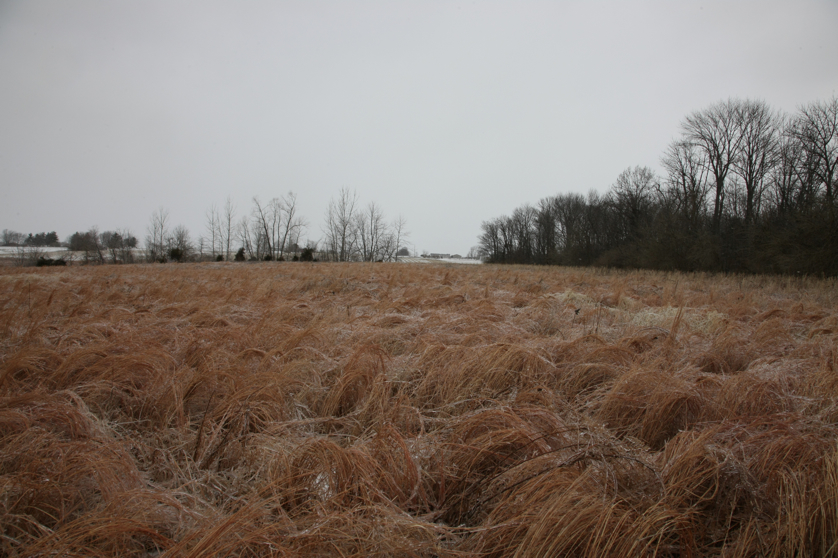 Full Size Image = 4589 K