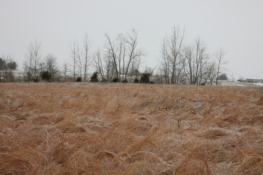 Full Size Image = 4918 K