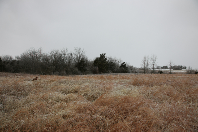 Full Size Image = 4343 K