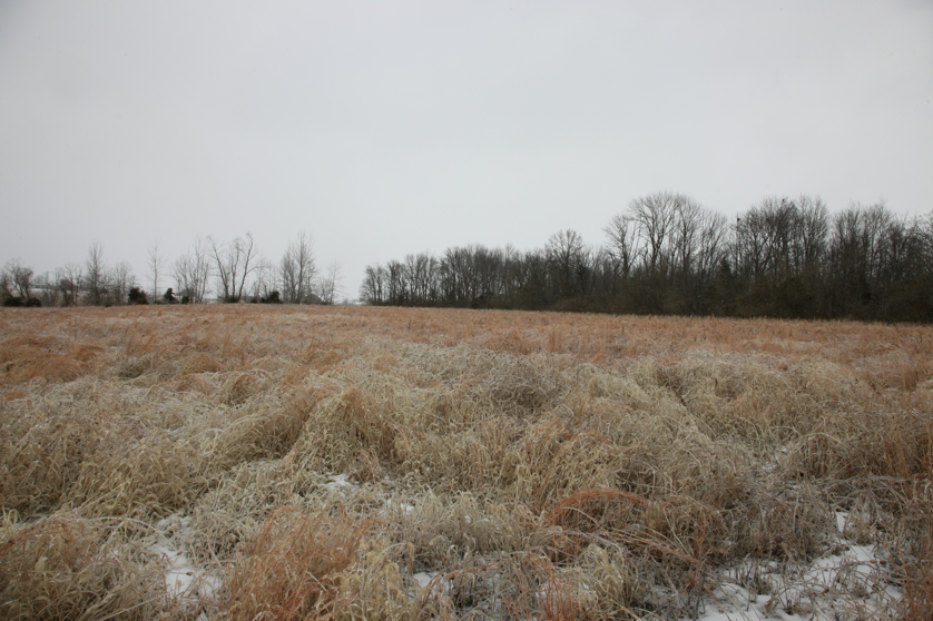 Full Size Image = 4657 K