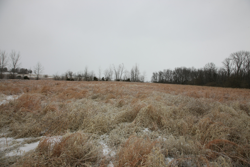 Full Size Image = 4606 K