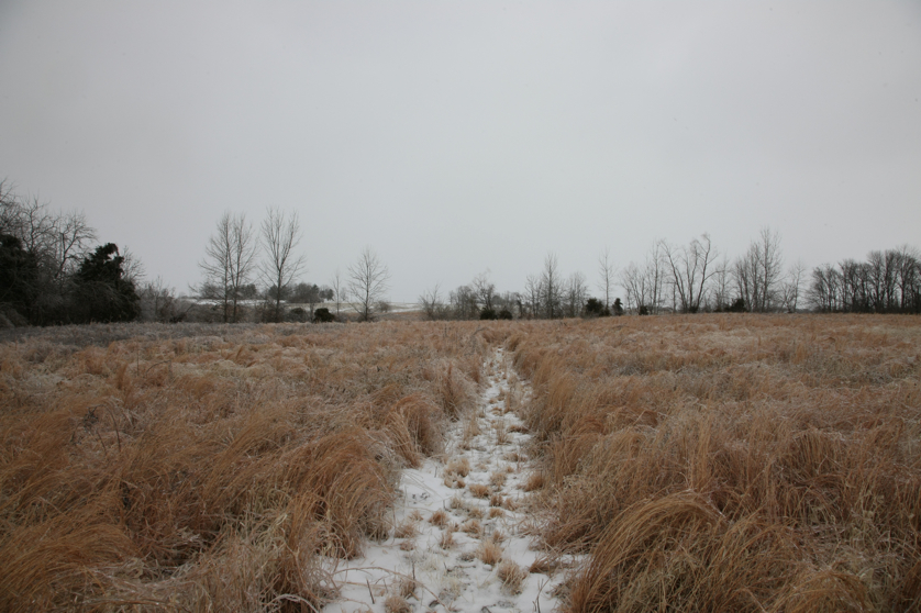 Full Size Image = 4304 K