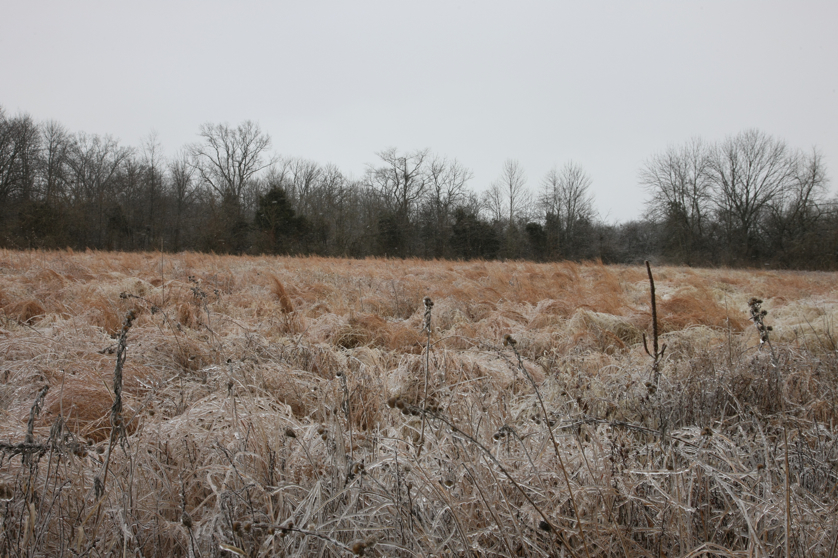 Full Size Image = 5186 K