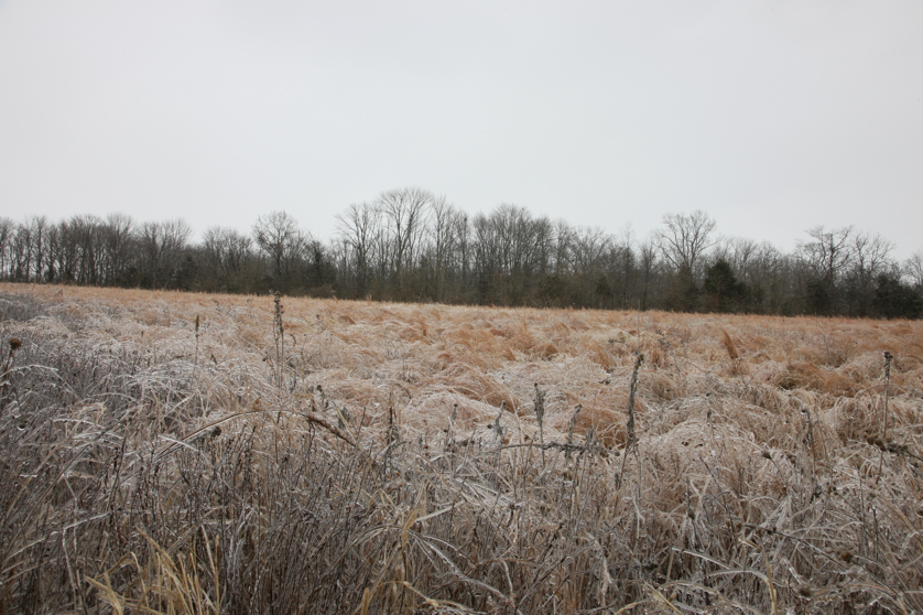 Full Size Image = 5016 K