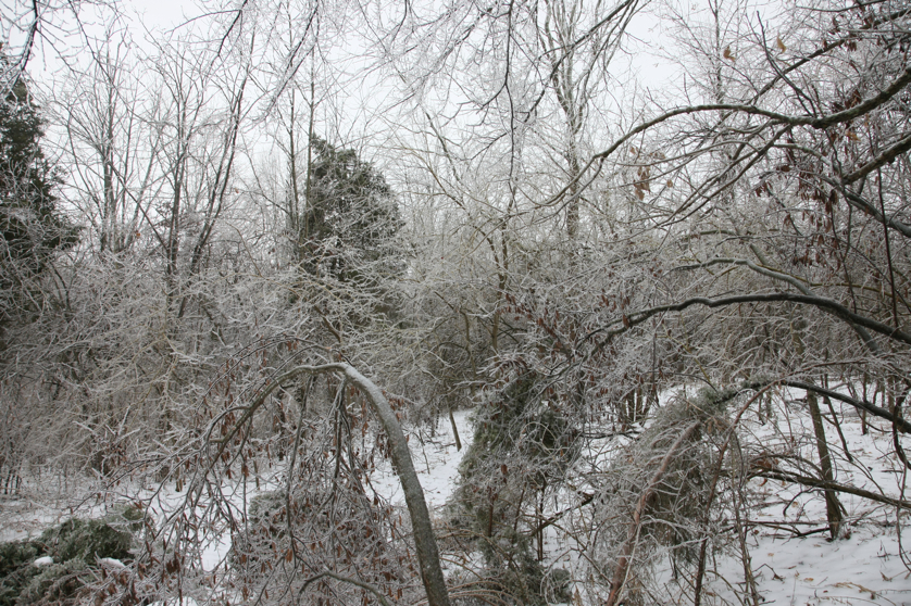 Full Size Image = 7604 K