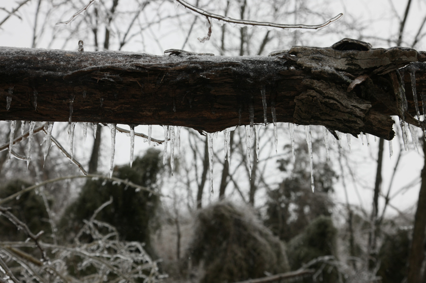 Full Size Image = 3166 K