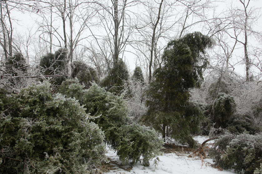 Full Size Image = 6681 K