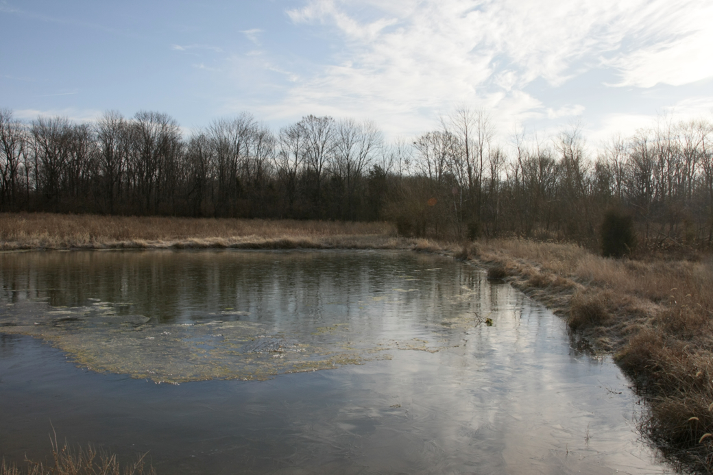 Full Size Image = 3130 K