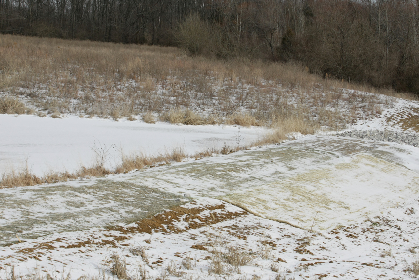 Full Size Image = 3346 K