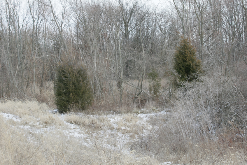 Full Size Image = 3452 K