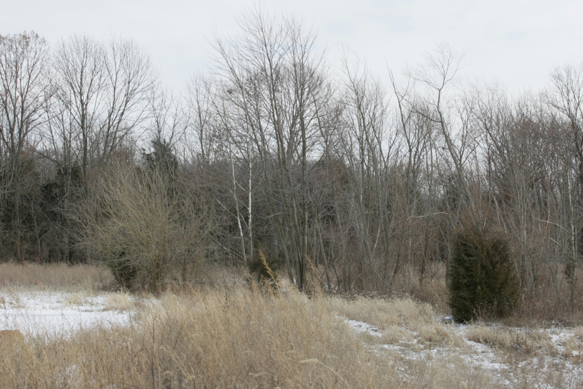 Full Size Image = 3399 K