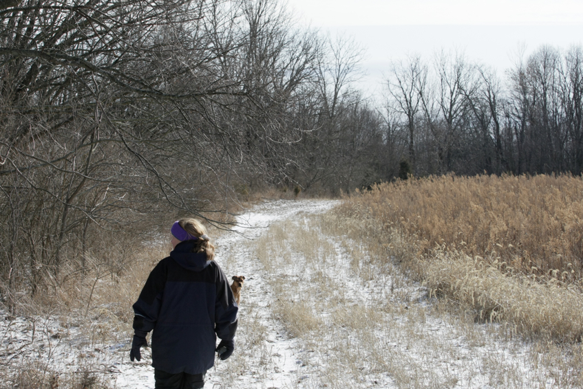 Full Size Image = 3741 K