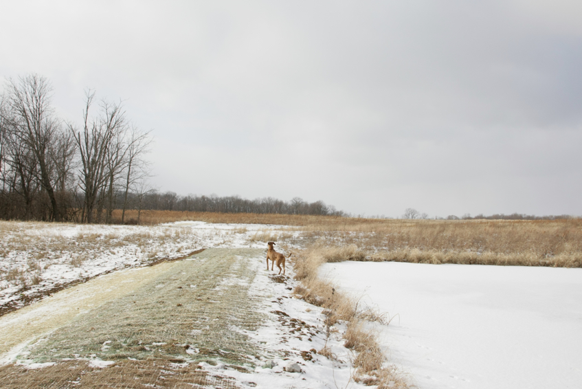 Full Size Image = 2218 K