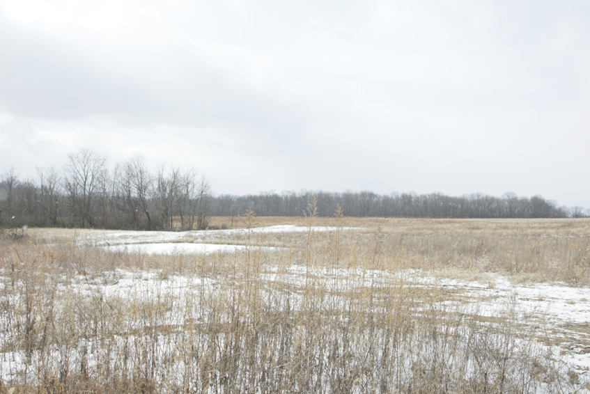 Full Size Image = 2481 K