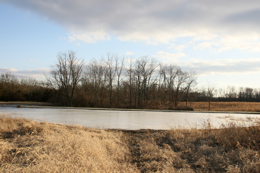 Full Size Image = 3517 K