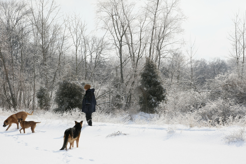 Full Size Image = 4132 K