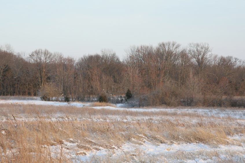 Full Size Image = 3236 K