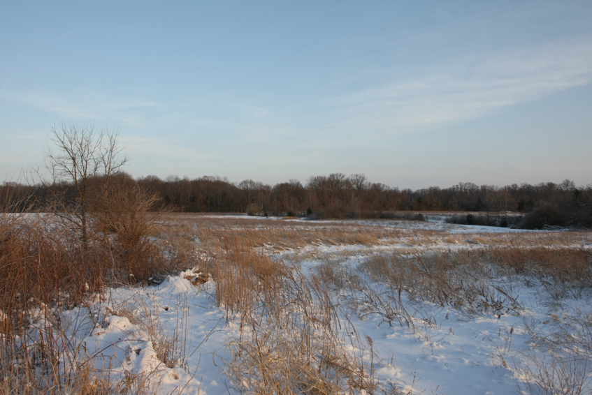 Full Size Image = 2807 K