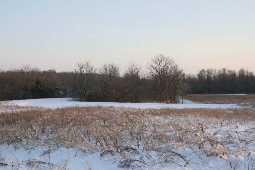 Full Size Image = 3038 K