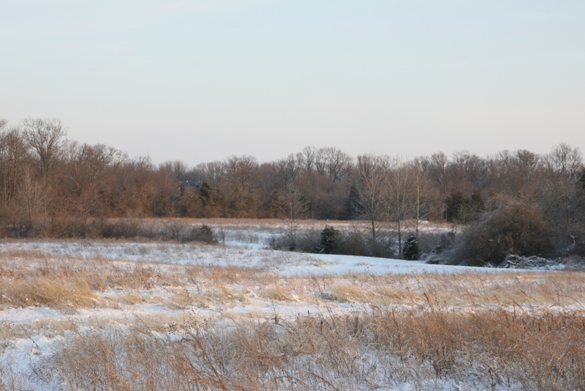 Full Size Image = 2815 K