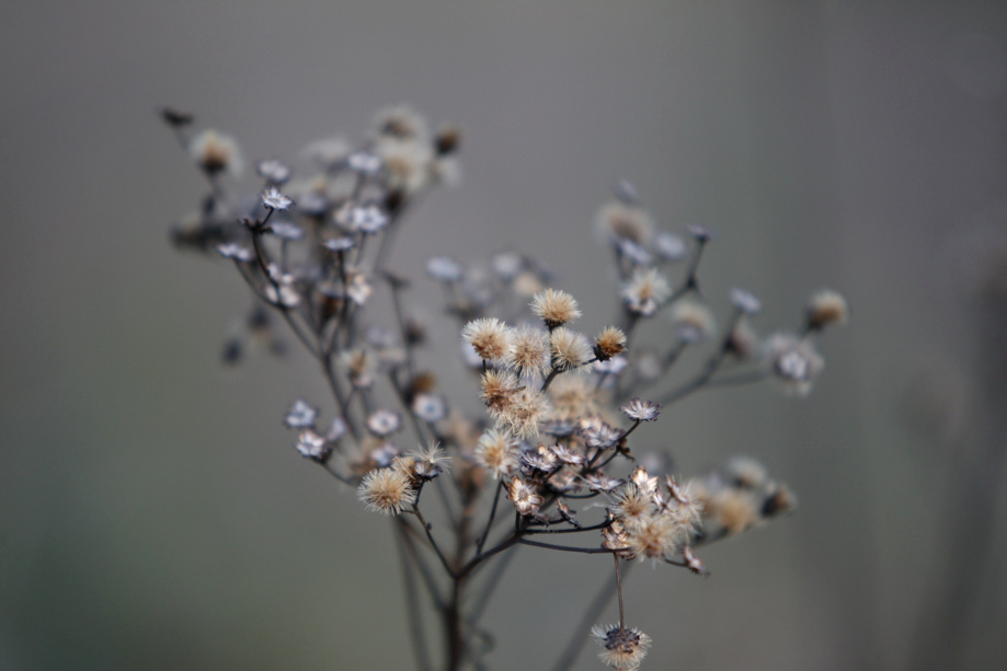 Full Size Image = 329 K