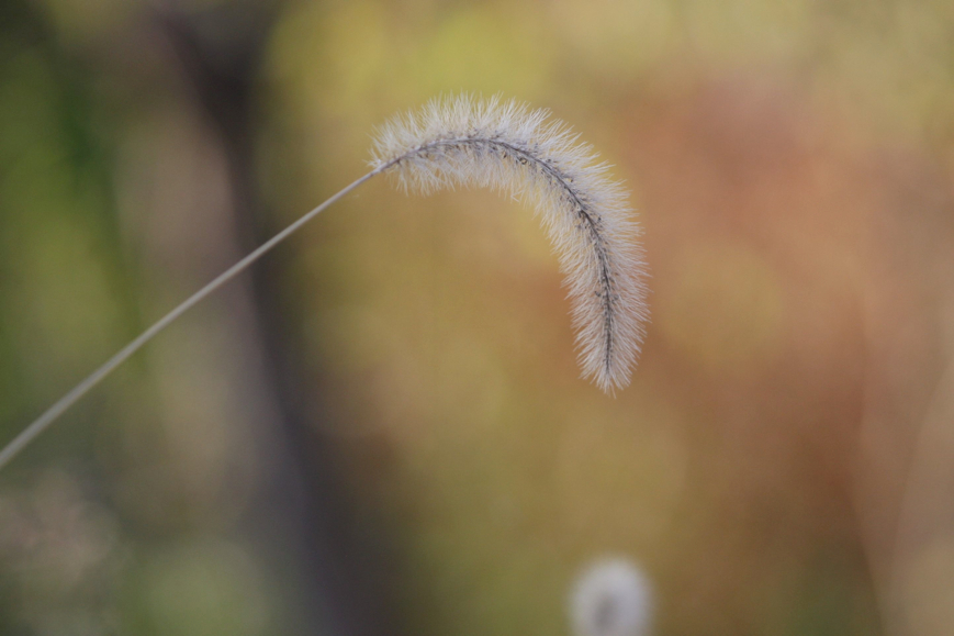 Full Size Image = 307 K