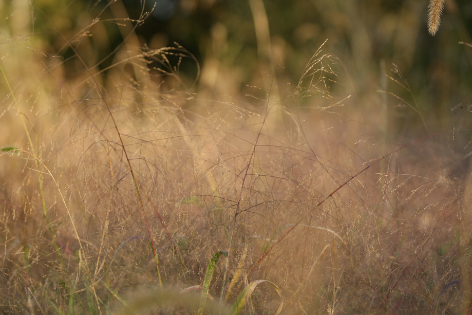 Full Size Image = 573 K