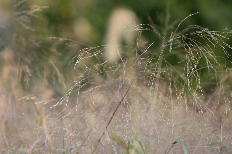 Full Size Image = 482 K