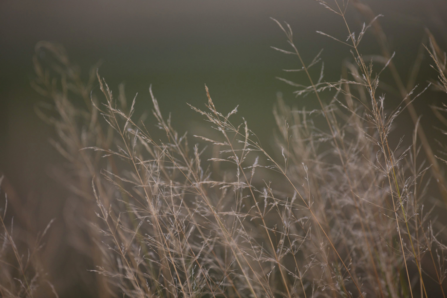 Full Size Image = 429 K