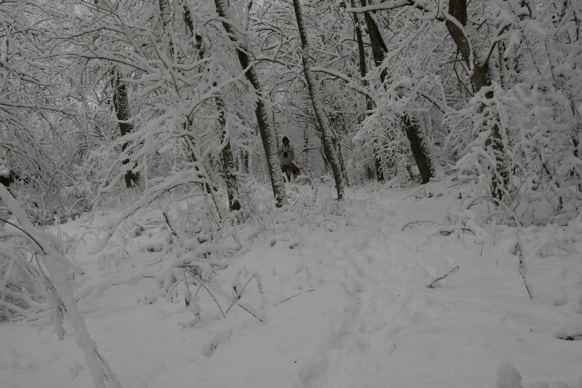 Full Size Image = 1714 K