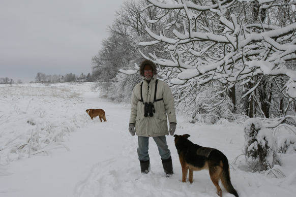 Full Size Image = 1720 K