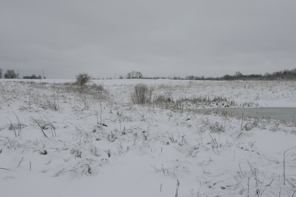 Full Size Image = 1334 K