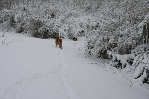 Full Size Image = 1805 K