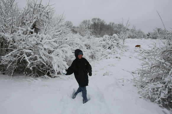 Full Size Image = 1700 K