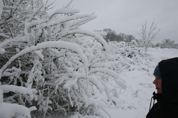 Full Size Image = 1499 K