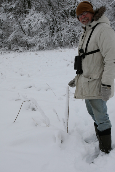 Full Size Image = 1202 K