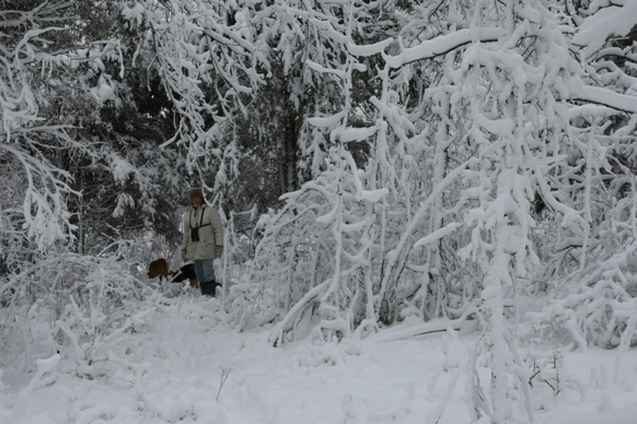 Full Size Image = 1885 K