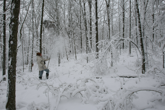 Full Size Image = 2253 K