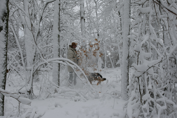 Full Size Image = 1595 K