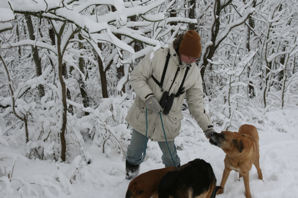 Full Size Image = 1742 K