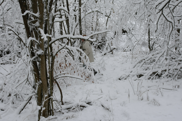 Full Size Image = 2003 K