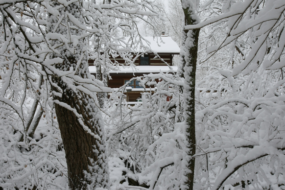 Full Size Image = 2200 K