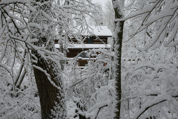 Full Size Image = 2172 K