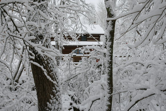 Full Size Image = 2180 K