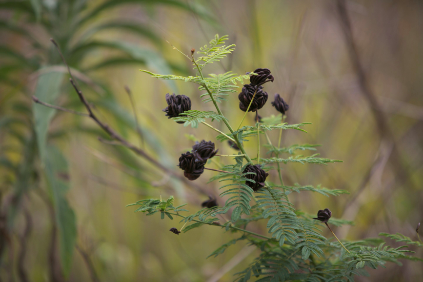 Full Size Image = 375 K