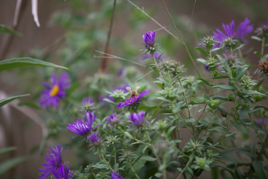 Full Size Image = 416 K