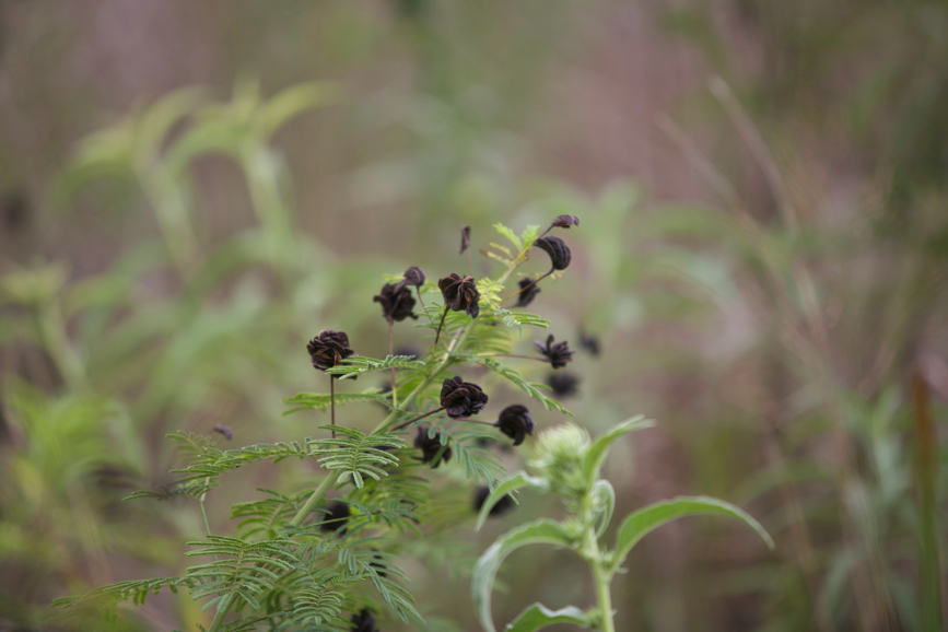 Full Size Image = 327 K