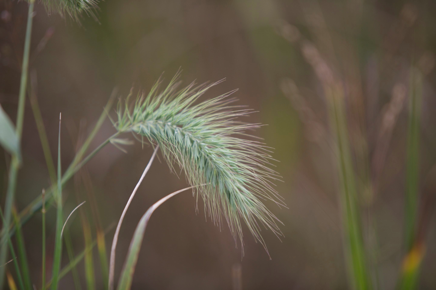 Full Size Image = 310 K