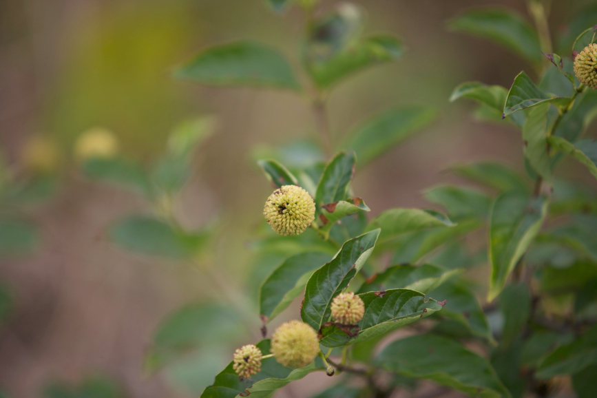 Full Size Image = 280 K