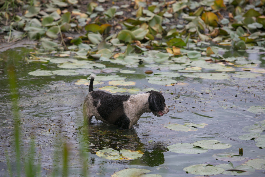 Full Size Image = 704 K